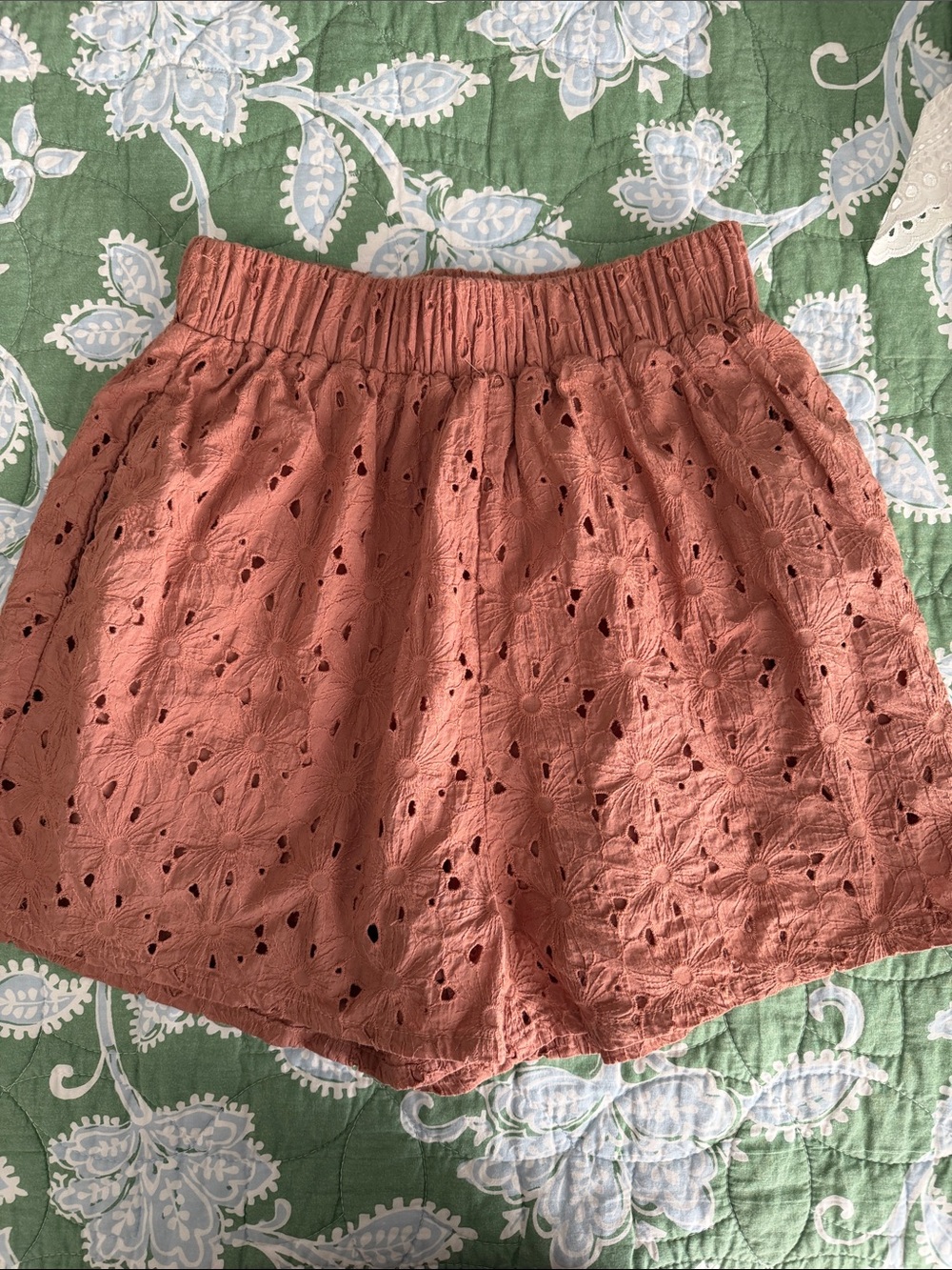 Elastic Waist Eyelet Shorts in Terracotta